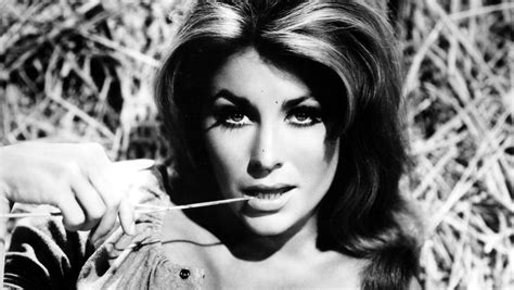 michele carey died|michele carey el dorado movie.